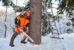 Husqvarna-NY-el-2019-4-250x167.jpg Husqvarna-NY-el-2019-4-250x167.jpg